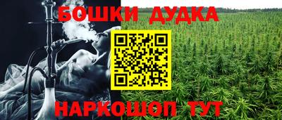 прущие грибы Нягань